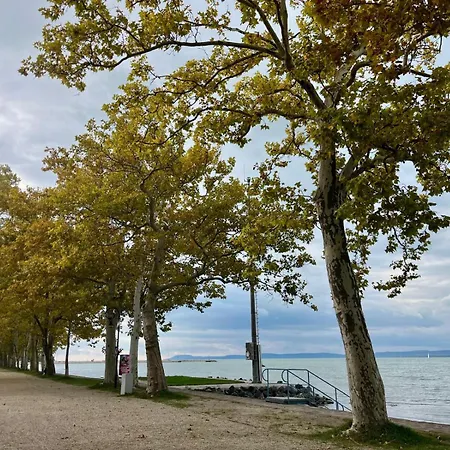 Foeldvarloft アパート